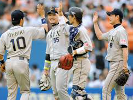 orix-buffaloes